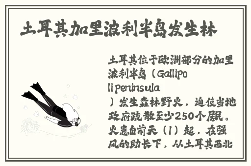 他戴上小玩具调到10档